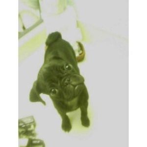 Meet your Posher, Angela